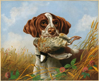 Pointer et faisan - Arthur Fitzwilliam Tait — artwork view