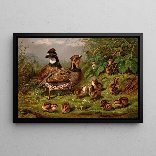 Caille - Arthur Fitzwilliam Tait — framed artwork on a wall