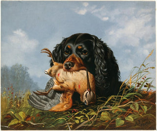 Epagneul and woodcock - Arthur Fitzwilliam Tait — artwork view