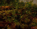 Study from Nature - Arthur Fitzwilliam Tait — artwork view
