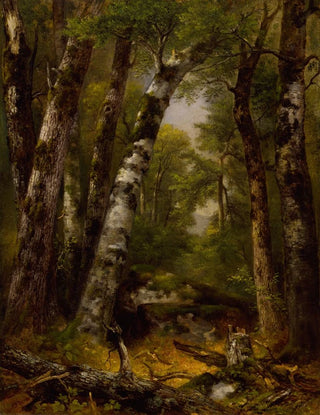 Woodland Glen - Asher Brown Durand — artwork view