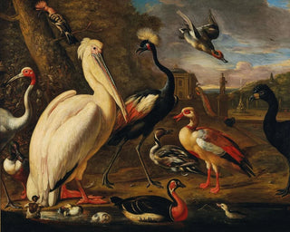 a pelican and other birds near water - Associated with Melchior de Hondecoeter — artwork view