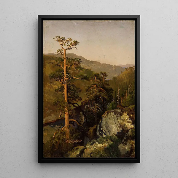 Reproduction of the painting Landscape rocky with pines - August Cappelen