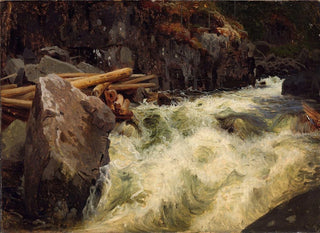 Study of a Waterfall - August Cappelen — artwork view