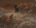 Sheep - August Friedrich Schenck — artwork view