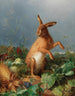 a hare in the field - August Heyn — artwork view