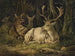 Daim Painting - August Schleich — artwork view