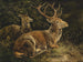 Red Deer Painting - August Schleich — artwork view