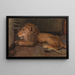 Lion at Artis Amsterdam - Auguste Allébé — framed artwork on a wall