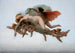 Psyche - Auguste Barthélemy Glaize — artwork view