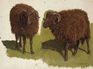Study of Black Rams - Auguste Bonheur — artwork view