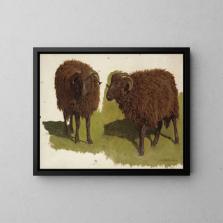 Study of Black Rams - Auguste Bonheur — framed artwork on a wall