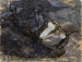 The Witches' Sabbath - Auguste Rodin — artwork view