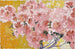 Azaleas in Bloom - Augusto Giacometti — artwork view