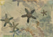 Plants stylized - Augusto Giacometti — artwork view