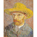 Reproduction of the painting Self-Portrait with Straw Hat - Vincent van Gogh