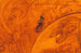 Harvesters - B Jesus Newton — artwork view