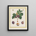 Prune de Damas Painting - B. Michel — framed artwork on a wall