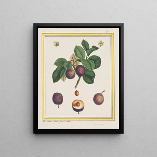 Prune de Damas Painting - B. Michel — framed artwork on a wall