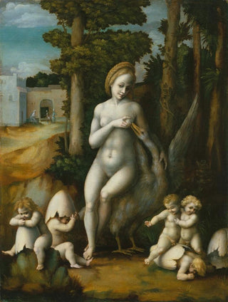 Leda and the Swan - Bacchiacca — artwork view