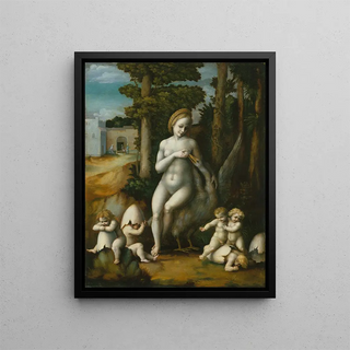 Leda and the Swan - Bacchiacca — framed artwork on a wall