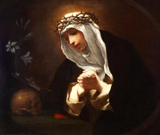 Saint Catherine of Siena - Baldassare Franceschini — artwork view