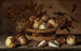 a basket with cherries, apples, peaches, and a bunch of grapes surrounded by apples, peaches, shells, bees, and a dragonfly - Balthasar van der Ast — artwork view