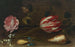 a Rose, a Tulip, insects, and a shell on a ledge - Balthasar van der Ast — artwork view