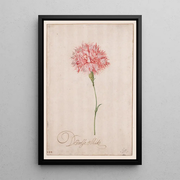 La Coiffe polonaise - Balthasar van der Ast — framed artwork on a wall