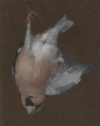 a Rose-breasted Nightingale hanging on a nail - Barbara Regina Dietzsch — artwork view