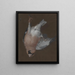 a Rose-breasted Nightingale hanging on a nail - Barbara Regina Dietzsch — framed artwork on a wall