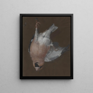 a Rose-breasted Nightingale hanging on a nail - Barbara Regina Dietzsch — framed artwork on a wall