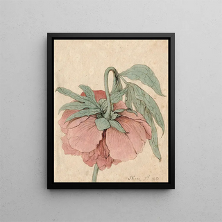 Peony - Barend Hendrik Thier — framed artwork on a wall