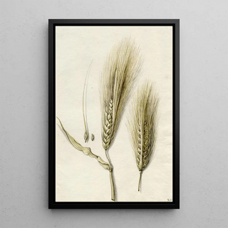 Reproduction of the painting Oat and Blackberry - Barend Hendrik Thier