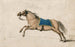 Horse jumping - Barend Hendrik Thier — artwork view