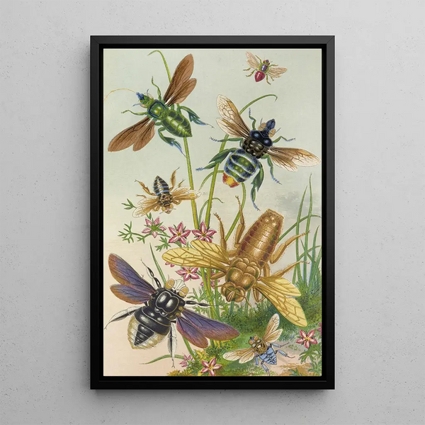 Bees and Their Counterfeits - Barret and Sons — framed artwork on a wall