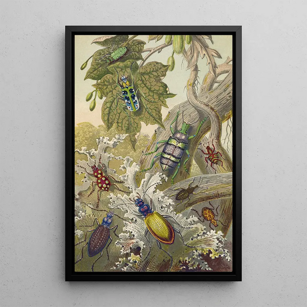 Reproduction of the painting British Bees and Their Foreign Relatives - Barret and Sons