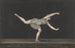 Danseuse Annette Kübler du Pas de Zéphyr executing - Bartholomeus Ziesenis — artwork view
