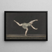 Danseuse Annette Kübler du Pas de Zéphyr executing - Bartholomeus Ziesenis — framed artwork on a wall