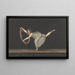 Danseuse Annette Kübler executing the scarf step - Bartholomeus Ziesenis — framed artwork on a wall