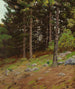 in the Pines - Ben Foster — artwork view