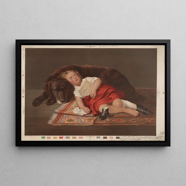 Faithful Observer - Bencke Scott — framed artwork on a wall