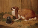 A rabbit with large ears and its little one - Benjamin Herring — artwork view