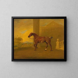 Roan Hack - Benjamin Marshall — framed artwork on a wall