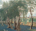 Oliveraie - Benno Becker — artwork view