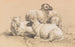 Four Sheep - Benno Rafael Adam — artwork view