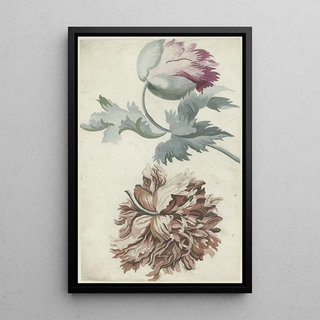 Poppies Painting - Bernard Picart — framed artwork on a wall