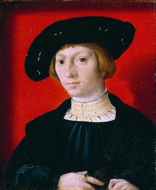 A Young Man - Bernard van Orley — artwork view