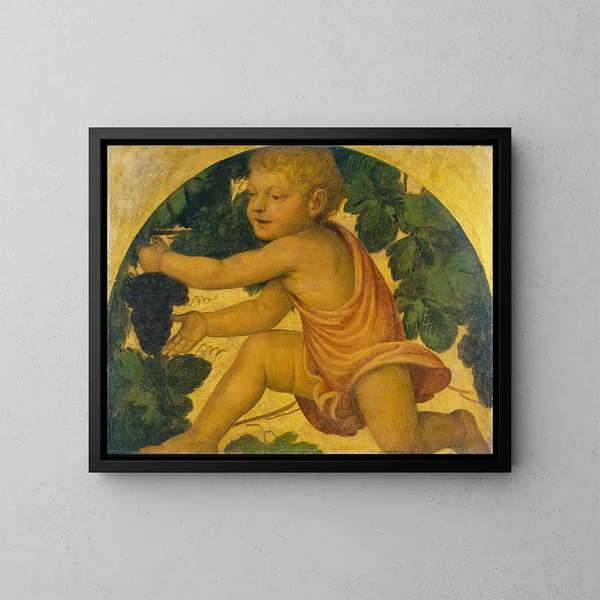 Putto cueillant des raisins - Bernardino Luini — framed artwork on a wall