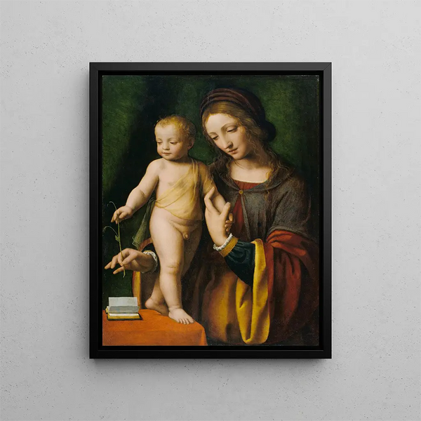 La Vierge à l'Enfant avec une Colombine - Bernardino Luini — framed artwork on a wall